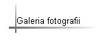 Galeria fotografii