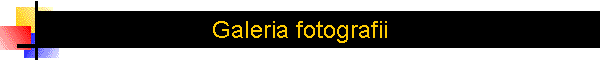 Galeria fotografii