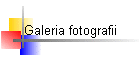 Galeria fotografii